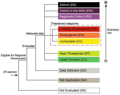 national regional categories and criteria 