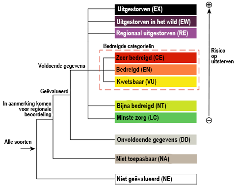 national regional categories and criteria 