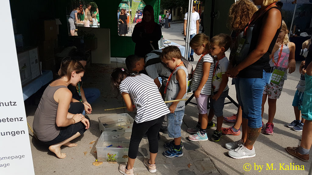 Young people at the species protection days at Schönbrunn Zoo / Vienna