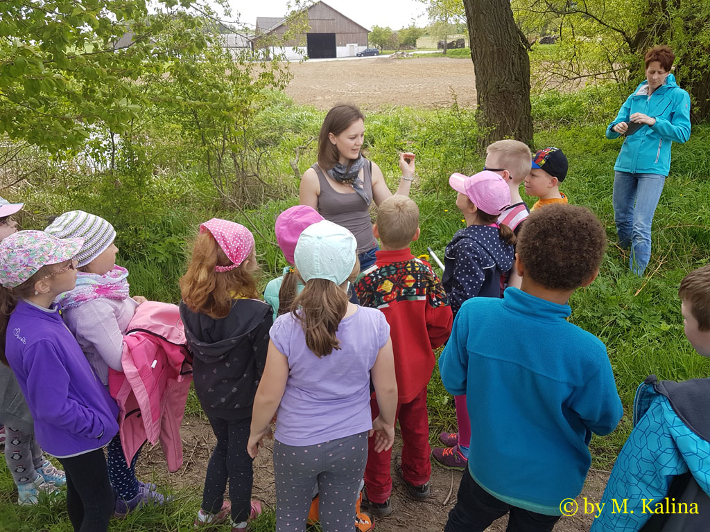 Jeunes au projet du crapaud à ventre jaune de l'ÖVVÖ